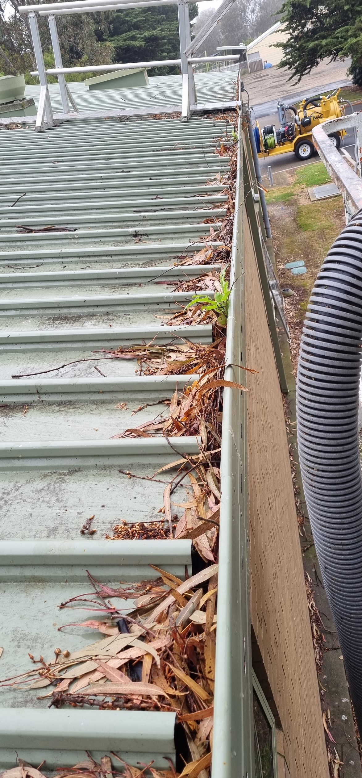 Gutter Cleaning